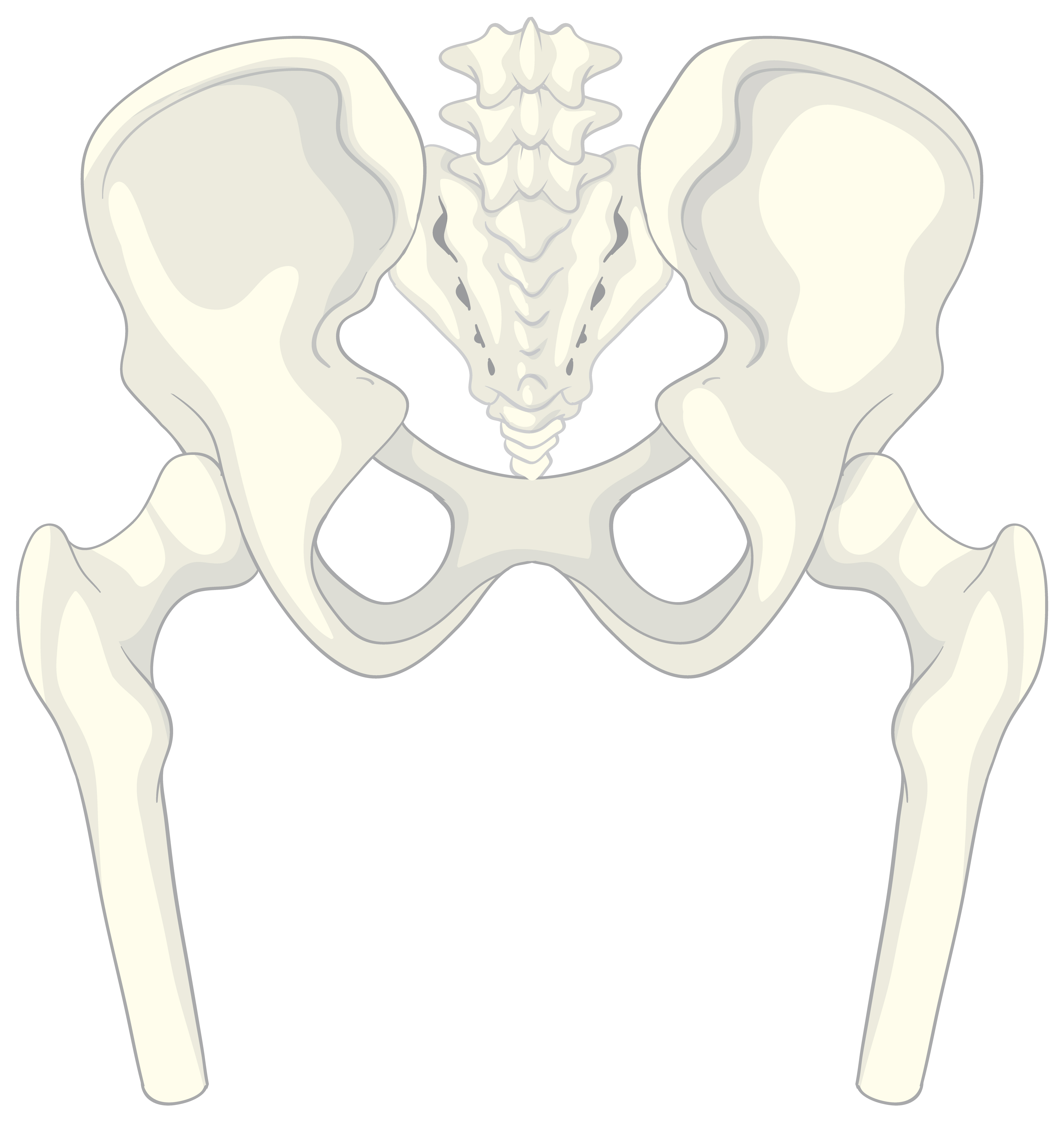 Hip Dysplasia