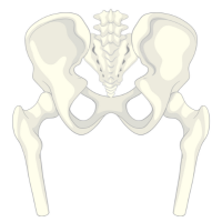 hip dysplasia